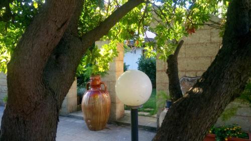 Apartamento Il Giunco