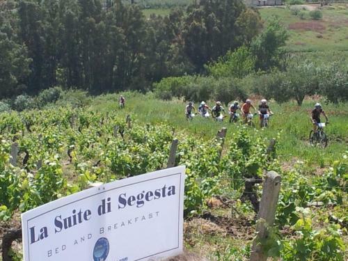 Bed & Breakfast La Suite Di Segesta
