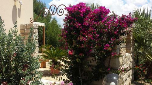 Bed & Breakfast La Suite Di Segesta