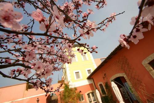 Agroturismo Masseria Sant'agapito