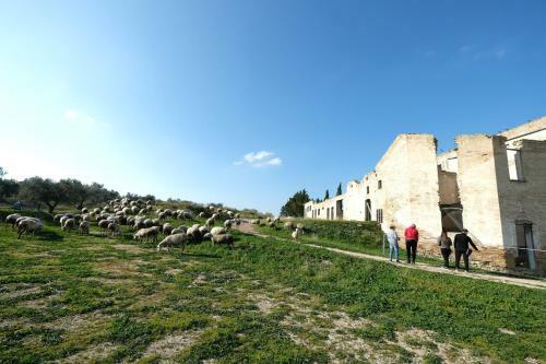 Agroturismo Masseria Sant'agapito