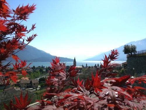 Villa Perla Del Lago
