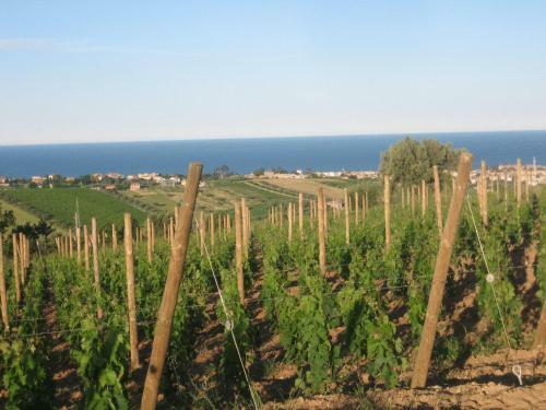 Agroturismo L'orso E L'ape B&B
