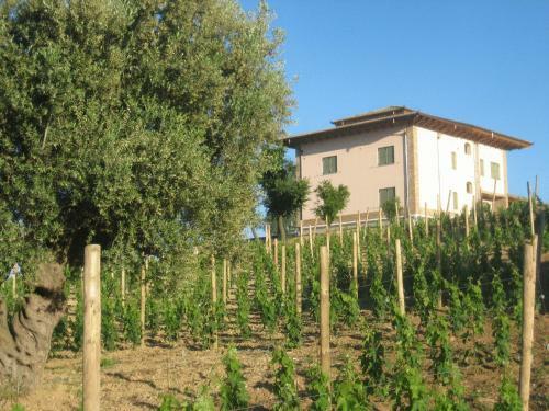 Agroturismo L'orso E L'ape B&B