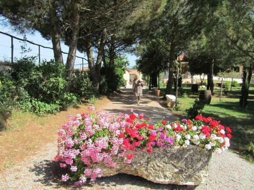 Agroturismo Agriturismo Borghetto Il Montino