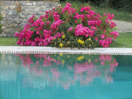 Agroturismo Agriturismo Borghetto Il Montino
