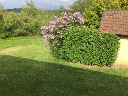 Bed & Breakfast Domaine De Lascaux