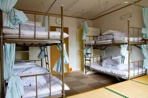 Yakushima Youth Hostel
