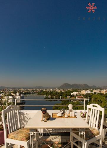 Albergue Zostel Udaipur