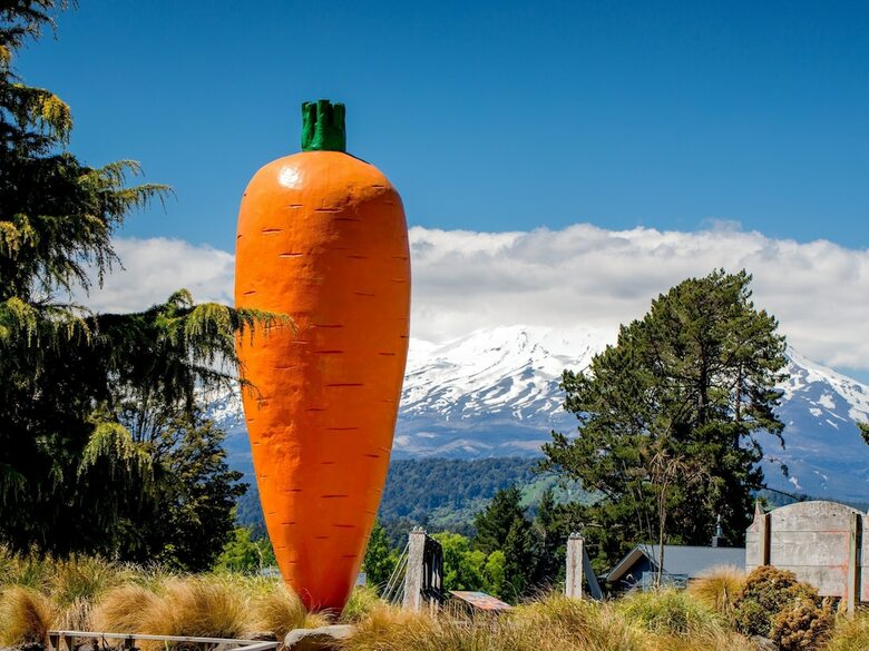 Ohakune Top 10 Holiday Park