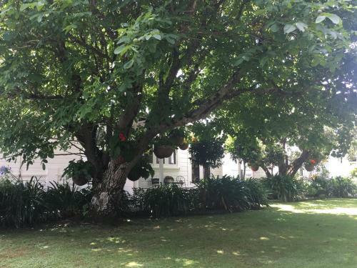 Hostal Aylstone Martinborough