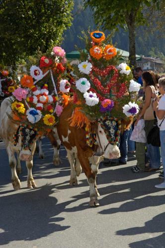 Ferienhotel Tyrol S�ll Am Wilden Kaiser