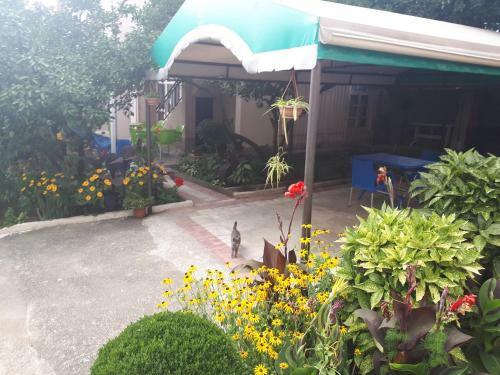 Hostal Guest House Roman/gonio