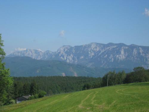 Hostal Gasthof Pension Steinberger