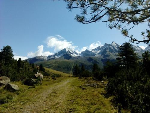 Apartment Fernerkogel