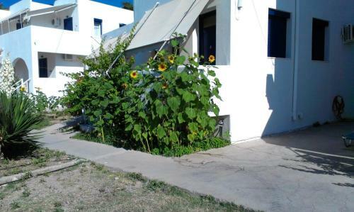 Aparthotel Iro Apartments