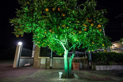 Hostal Vasilios Marinos Rooms