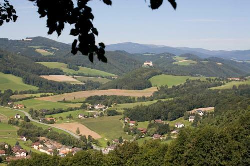 Hostal Genie�erpension Dopler - Zur Sch�nen Au