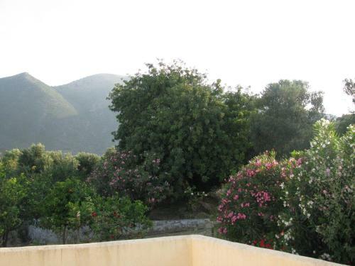 Aparthotel Skoutari Beach Hotel