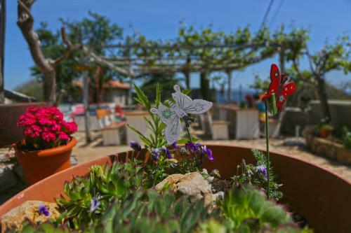 Hostal Pansion Tramontana