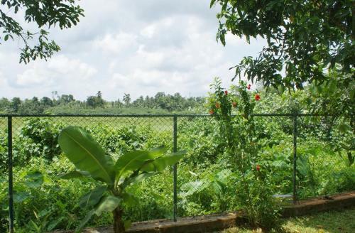 Hostal Lanka Rose Guest House