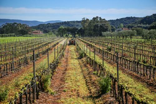 Agroturismo Agriturismo Monte Argentario
