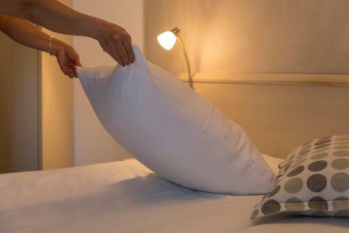 Hotel H�tel Lyon Nord