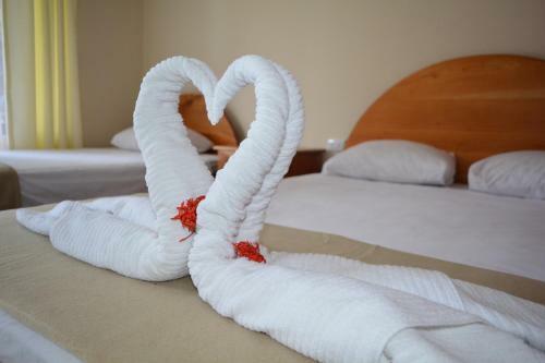 Arenal Hostel Resort