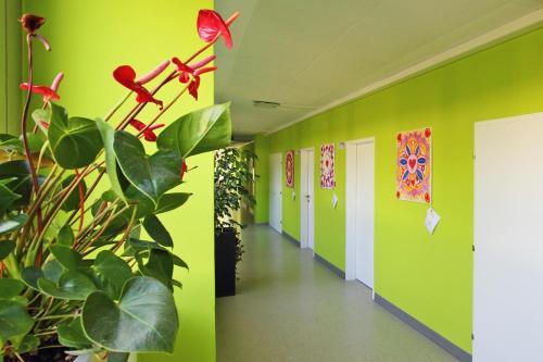 College Garden Hotel