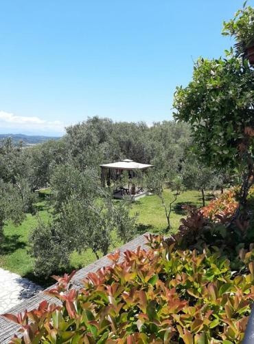 Traditional Villa Fioretta