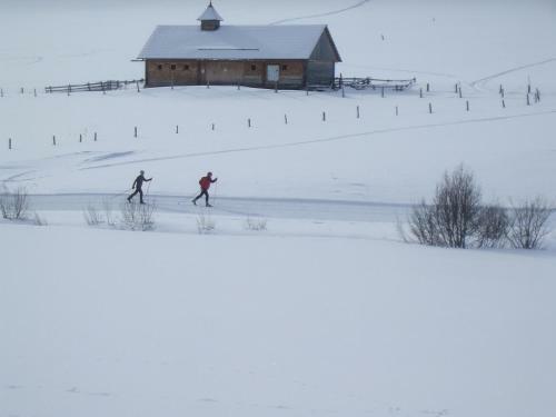Hostal Familiengasthof Zirmhof