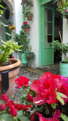 Apartamento El Patio De La Costurera