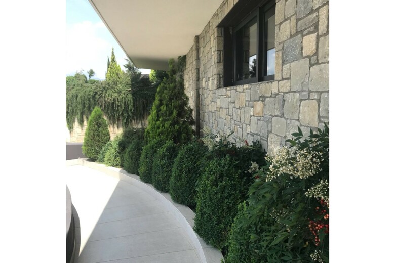 Hotel Ananti City Resort