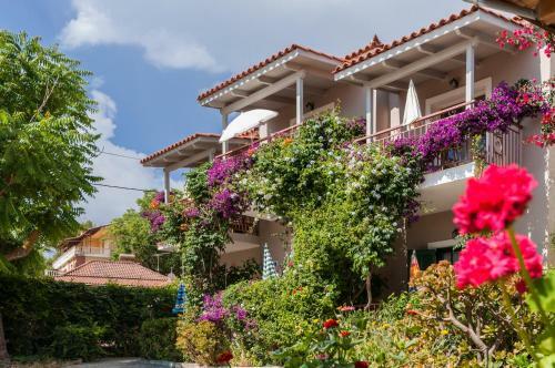 Apartamento Lemonia Zakynthos Studios