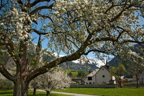 Apartamento Appartements Sailer