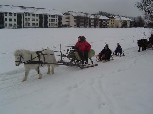 Agroturismo Gappmayrhof