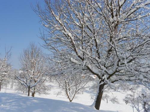 Bed & Breakfast Fr�hst�ckspension Liebmann