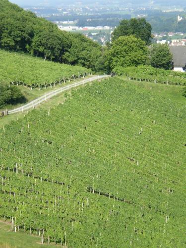 Bed & Breakfast Fr�hst�ckspension Liebmann