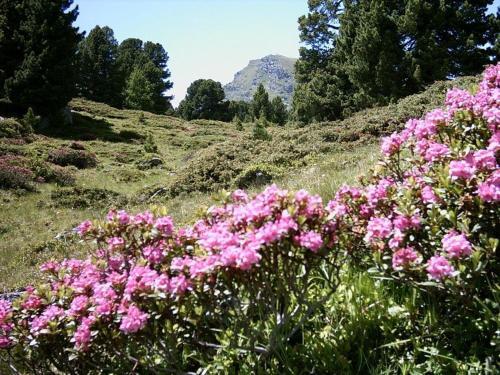 Apartamento Felber H�tt'n