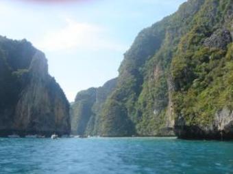Hotel The Krabi Forest Homestay