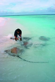 Hotel Banyan Tree Maldives Vabbinfaru