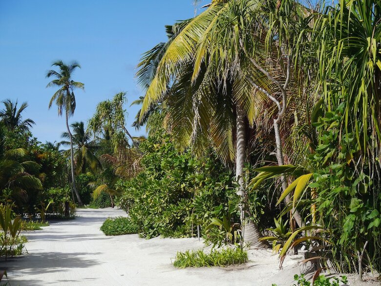 Hotel The Residence Maldives