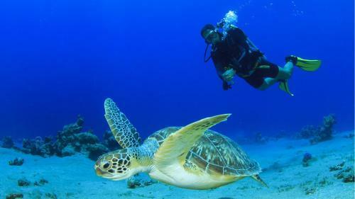 Hotel Sun Siyam Olhuveli