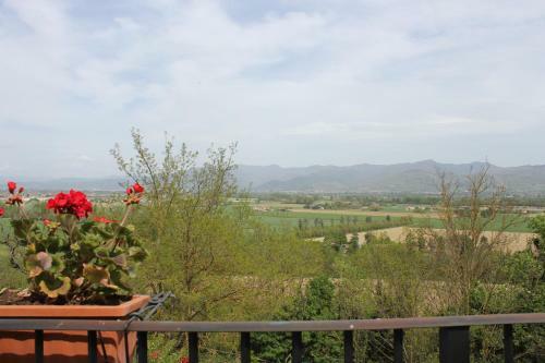 Agroturismo Badia Il Vingone