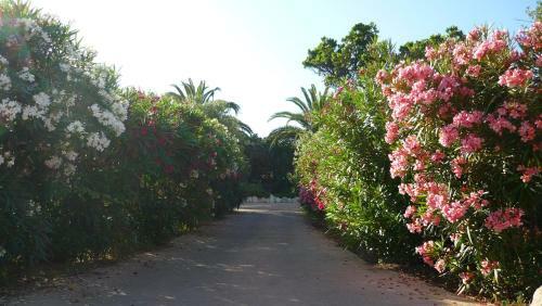 R�sidence Maora Village