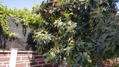 Bed & Breakfast Kartal Hotel