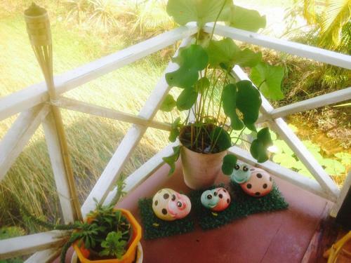 Hotel Ariya Garden Home