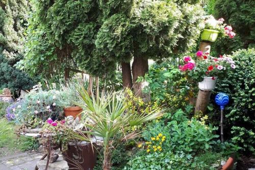Cosy Holiday Home In Wernigerode With Fireplace And Private Terrace
