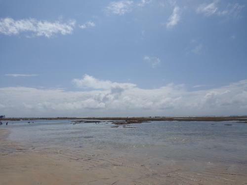 Apartamentos Rua Saber�