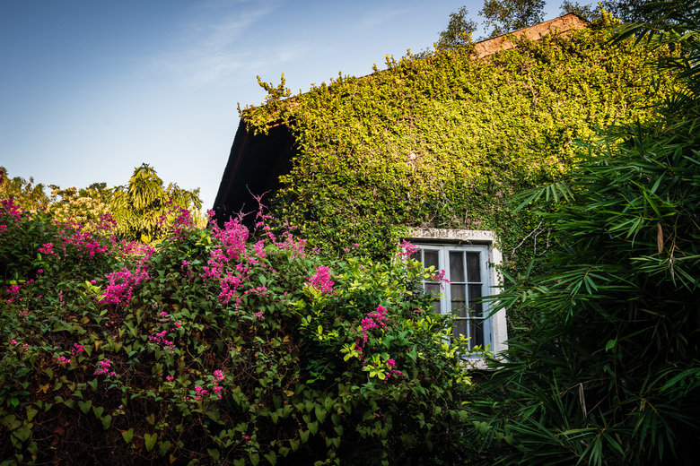 Hotel Kaomai Lanna Resort Chiang Mai